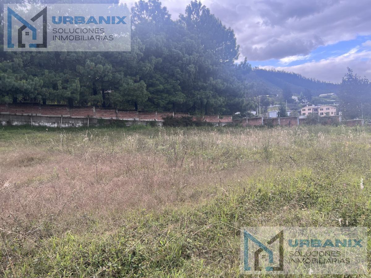 Terreno Para Urbanización Entre Lumbisí y San Patricio. Provincia de Pichincha — imagen 8