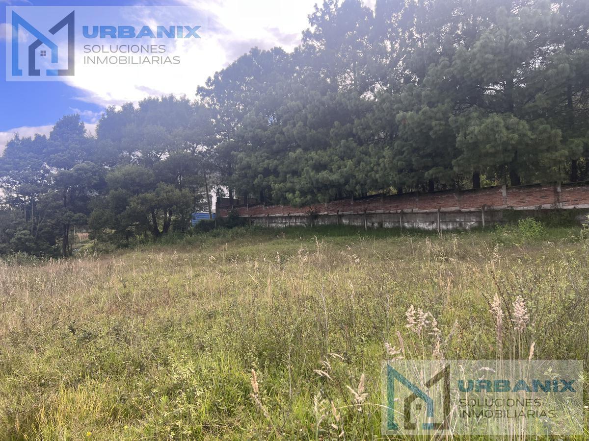 Terreno Para Urbanización Entre Lumbisí y San Patricio. Provincia de Pichincha — imagen 7