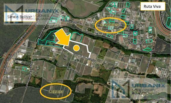 Terreno Para Urbanización Entre Lumbisí y San Patricio. Provincia de Pichincha — imagen 2