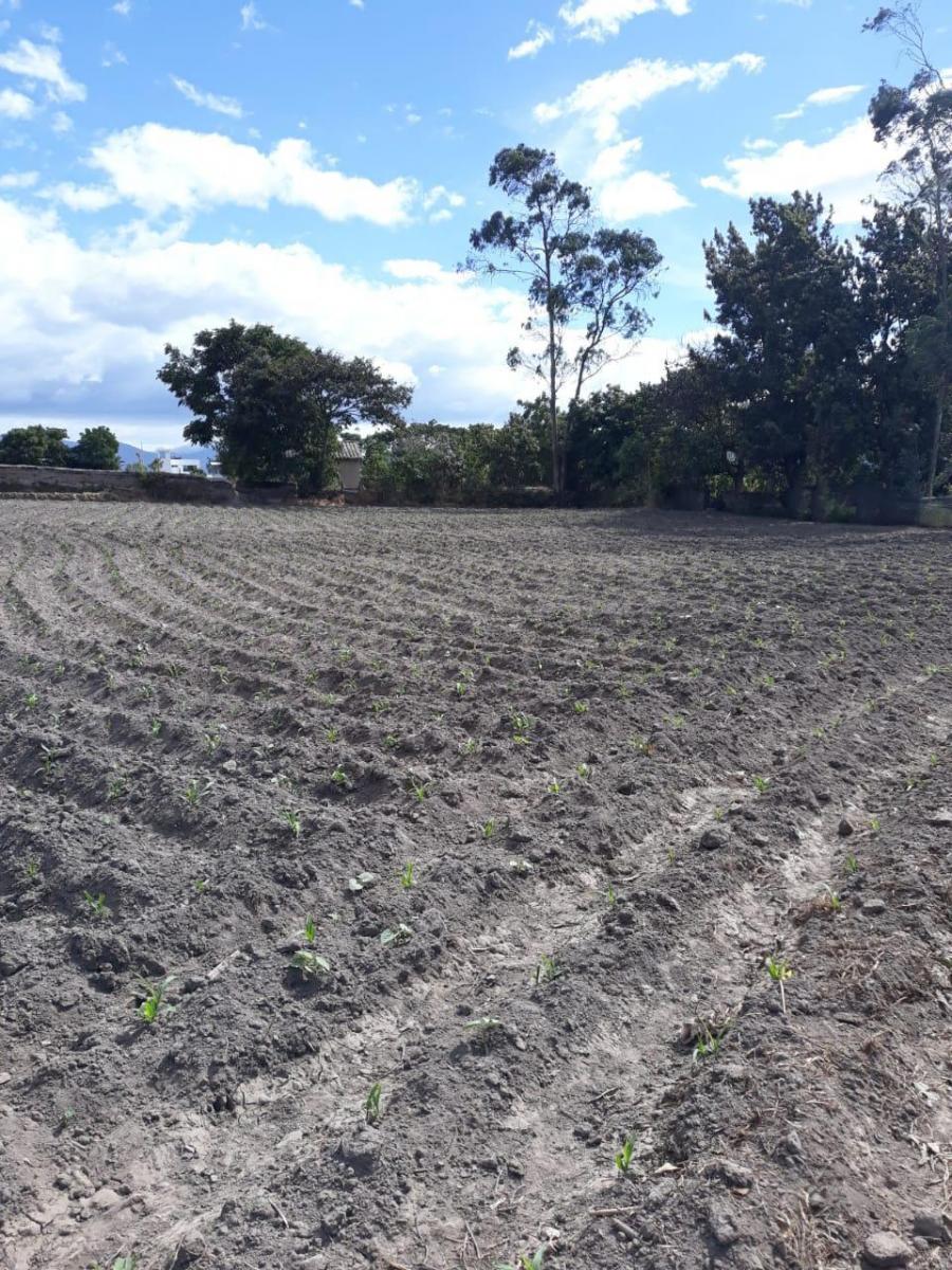 De Venta Hectárea de Terreno en Atuntaqui, Imbabura — imagen 8