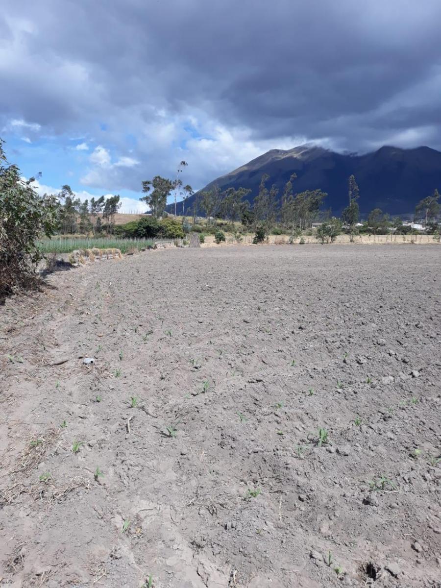 De Venta Hectárea de Terreno en Atuntaqui, Imbabura — imagen 7