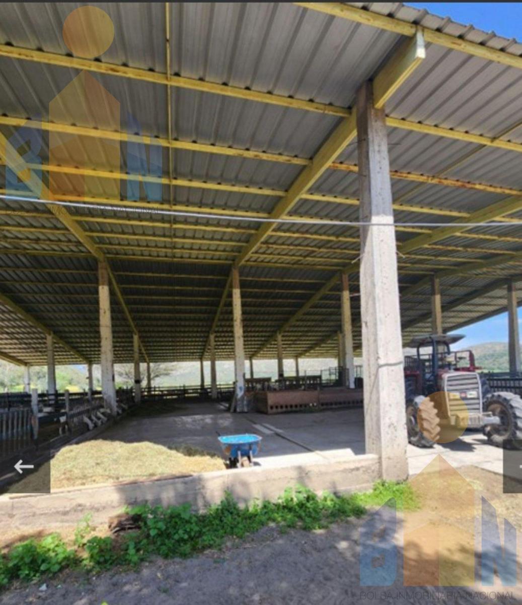 Venta Hacienda 30 Has 69 Has Bosque Protector Tababela Yaruqui Pifo — imagen 8