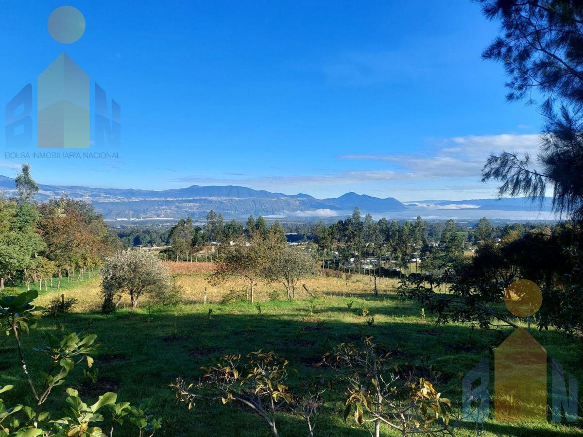 Venta Hacienda 30 Has 69 Has Bosque Protector Tababela Yaruqui Pifo — imagen 7