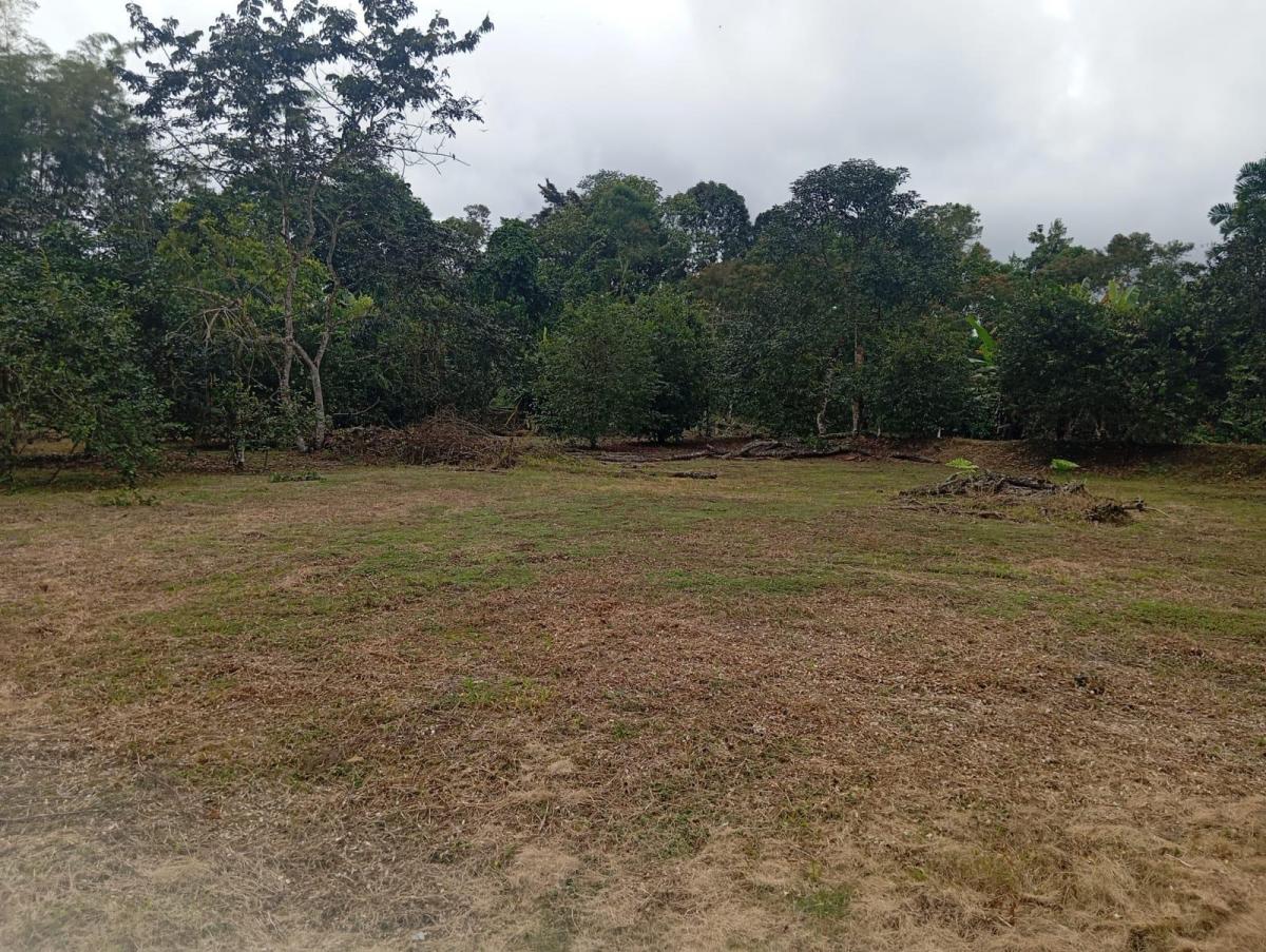 En Venta Terrenos en Urbanización Privada, Pedro Vicente Maldonado Cerca a Quito — imagen 10
