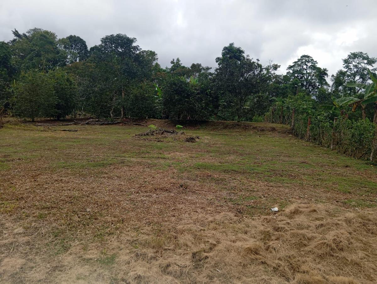 En Venta Terrenos en Urbanización Privada, Pedro Vicente Maldonado Cerca a Quito — imagen 8