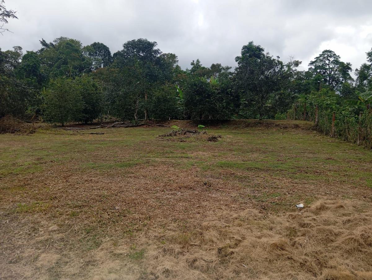 En Venta Terrenos en Urbanización Privada, Pedro Vicente Maldonado Cerca a Quito — imagen 6