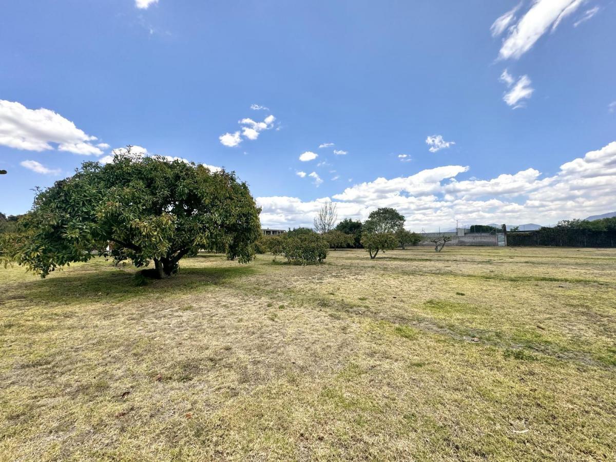 Terreno Plano de Venta en Arrayanes Puembo — imagen 10