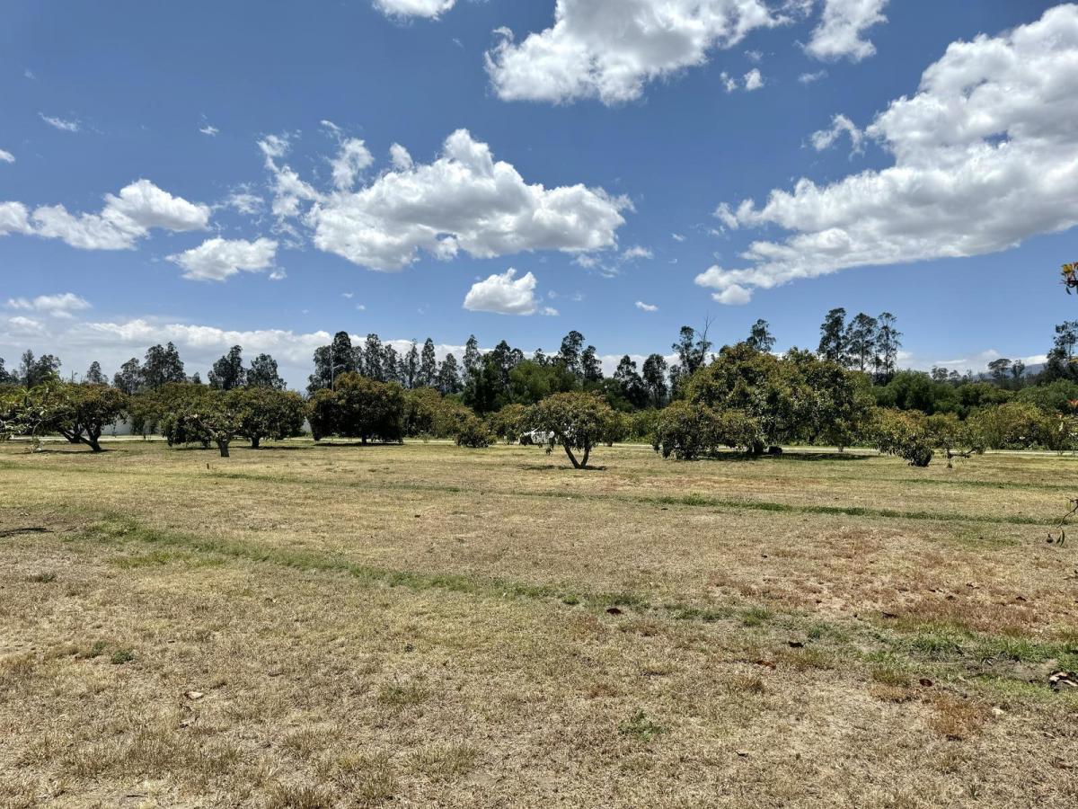 Terreno Plano de Venta en Arrayanes Puembo — imagen 6