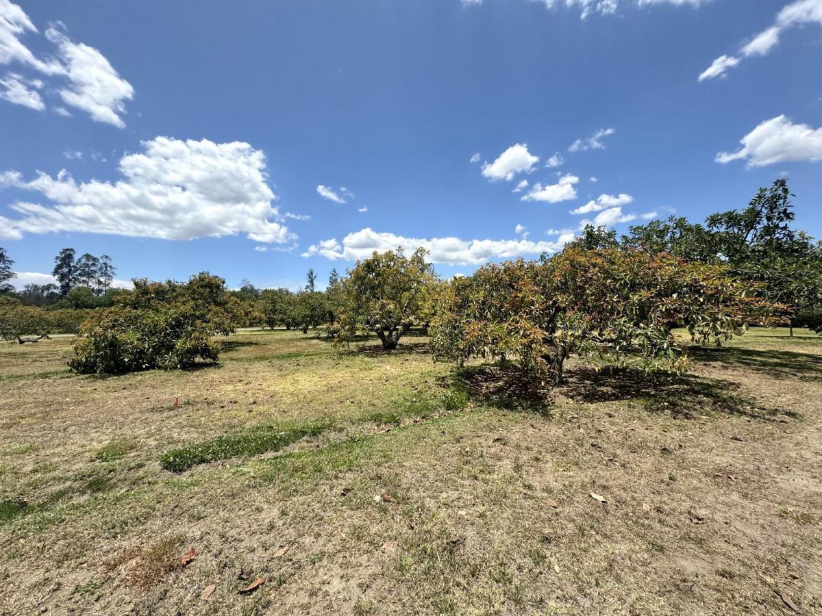 Terreno Plano de Venta en Arrayanes Puembo — imagen 5