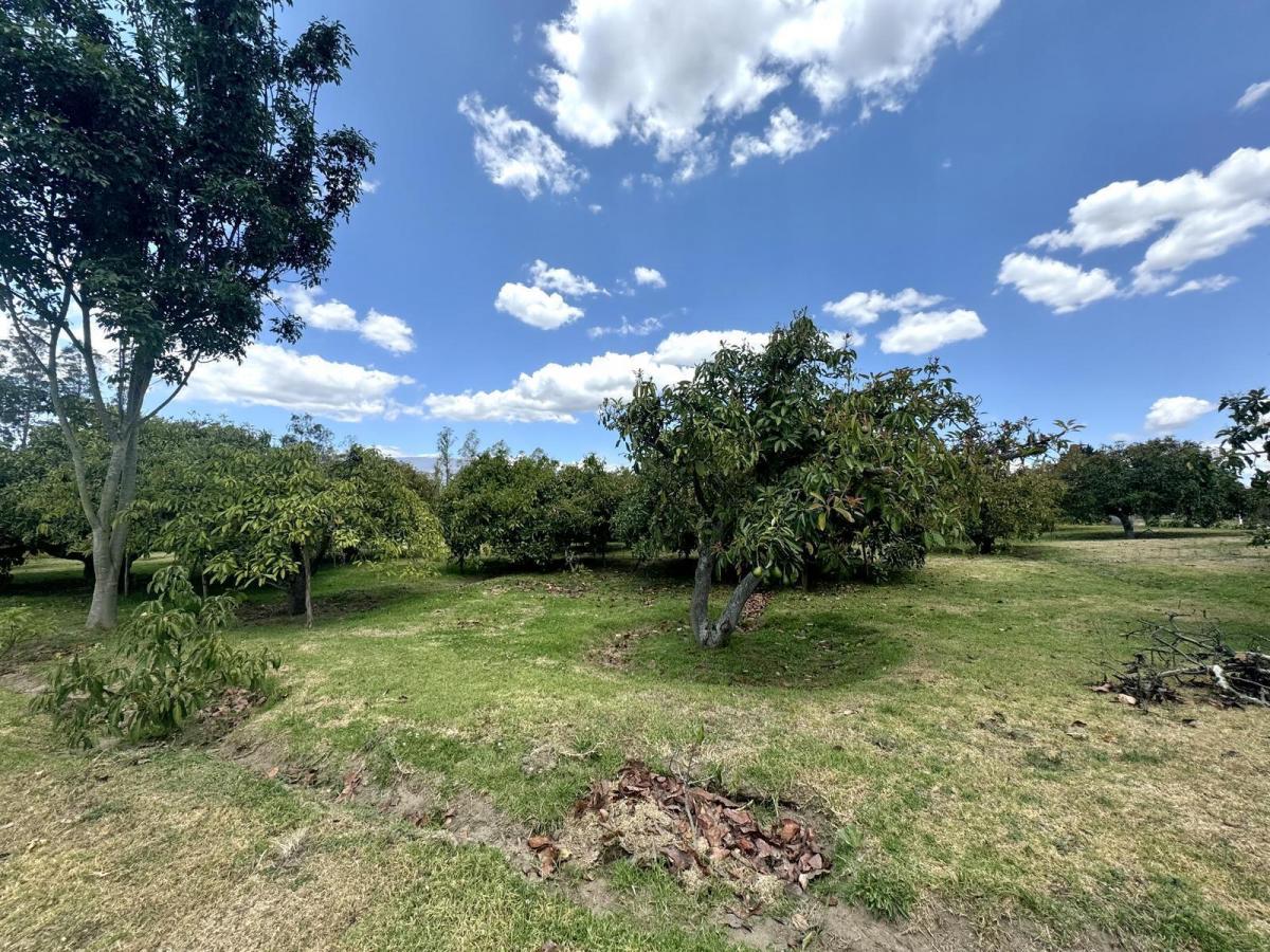 Terreno Plano de Venta en Arrayanes Puembo — imagen 2