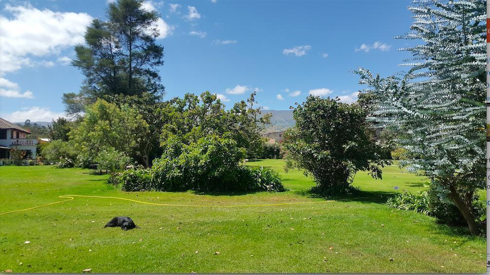 Checa Finca de Venta. Ideal Para Eventos — imagen 8