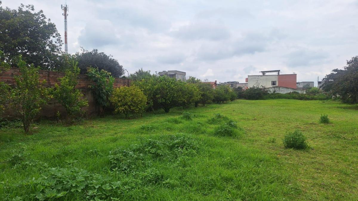 Venta Terreno Centro de Pifo — imagen 10
