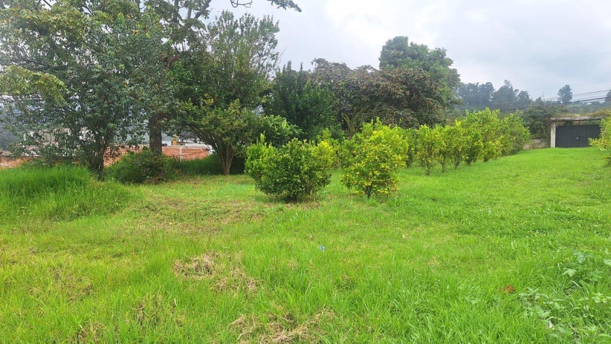 Venta Terreno Centro de Pifo — imagen 9