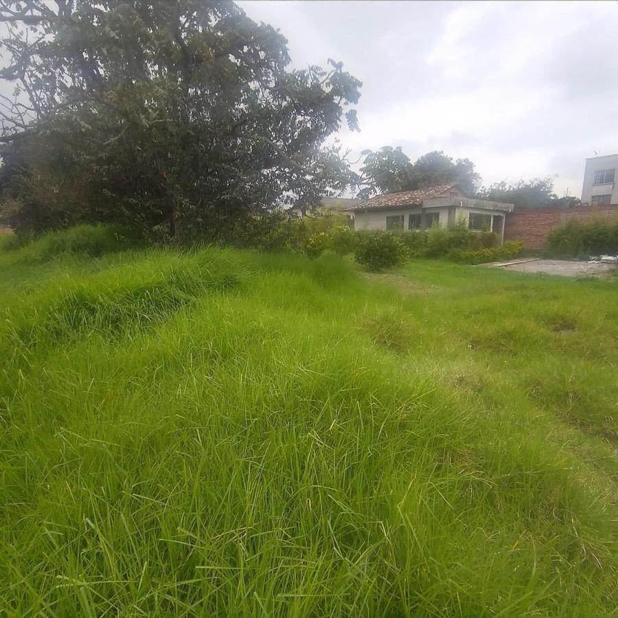 Venta Terreno Centro de Pifo — imagen 8