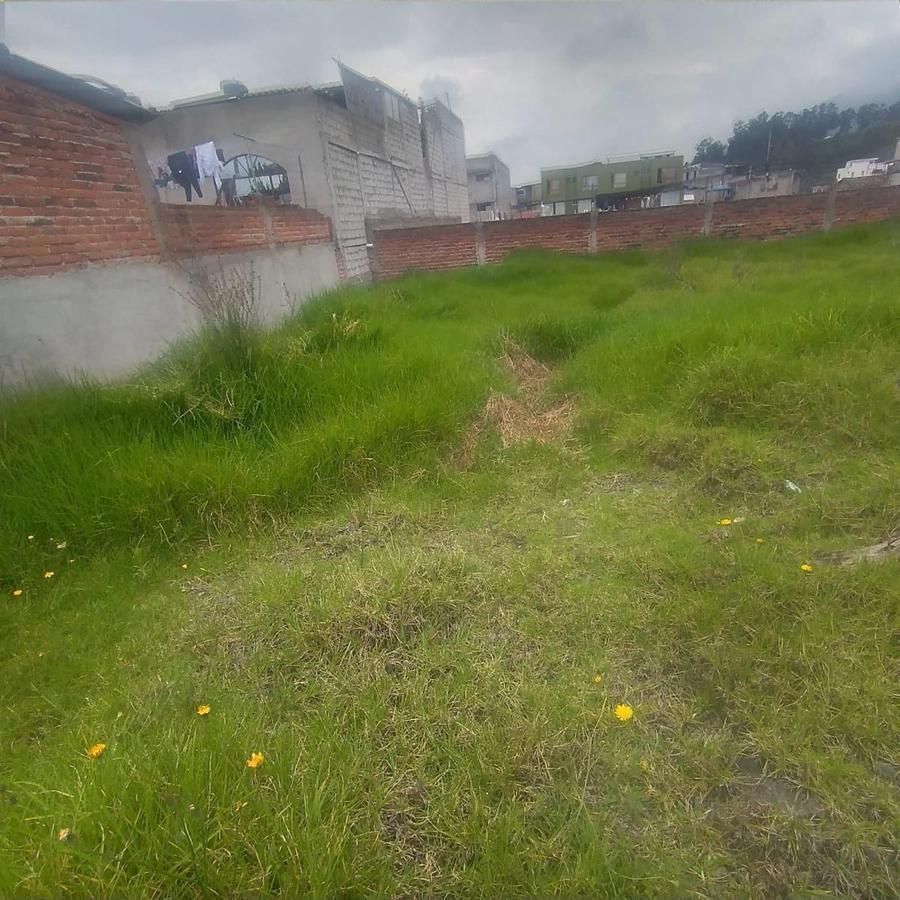 Venta Terreno Centro de Pifo — imagen 7