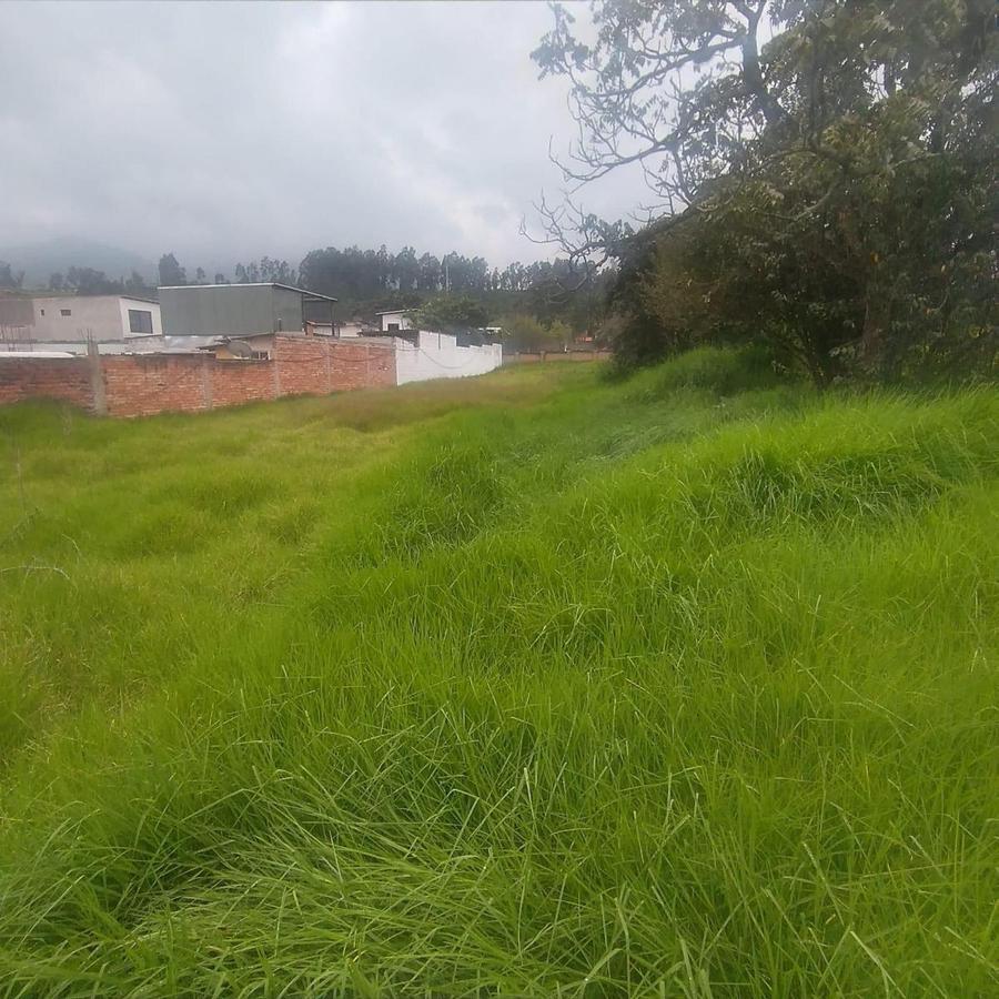 Venta Terreno Centro de Pifo — imagen 6