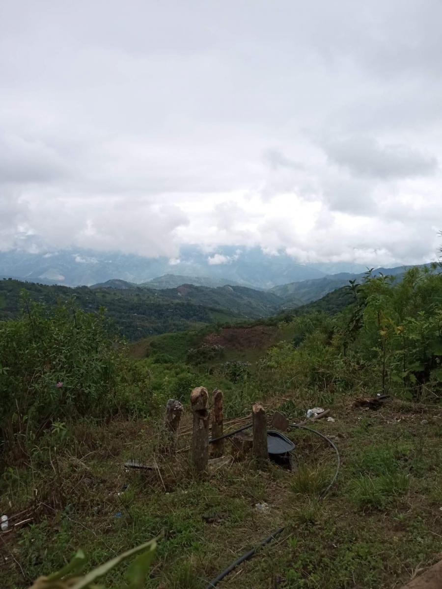 Vendo Terreno 18 Htras en El Valle de Intag Sector Barcelona Provincia Imbabura, Imbabura — imagen 8