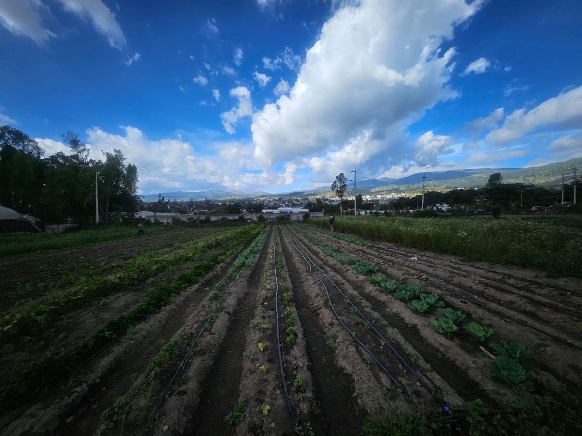 Terreno en Venta Yaruqui — imagen 9