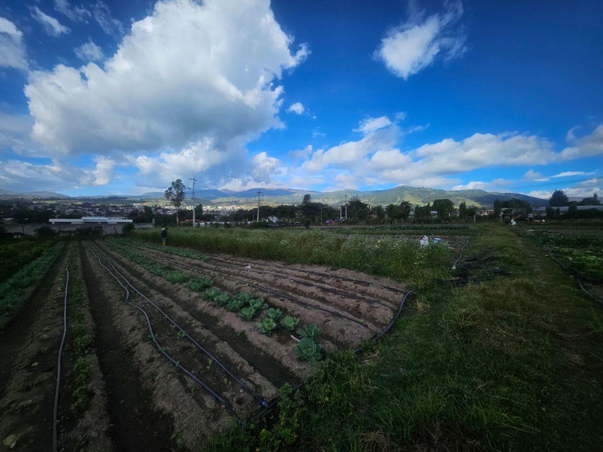 Terreno en Venta Yaruqui — imagen 8