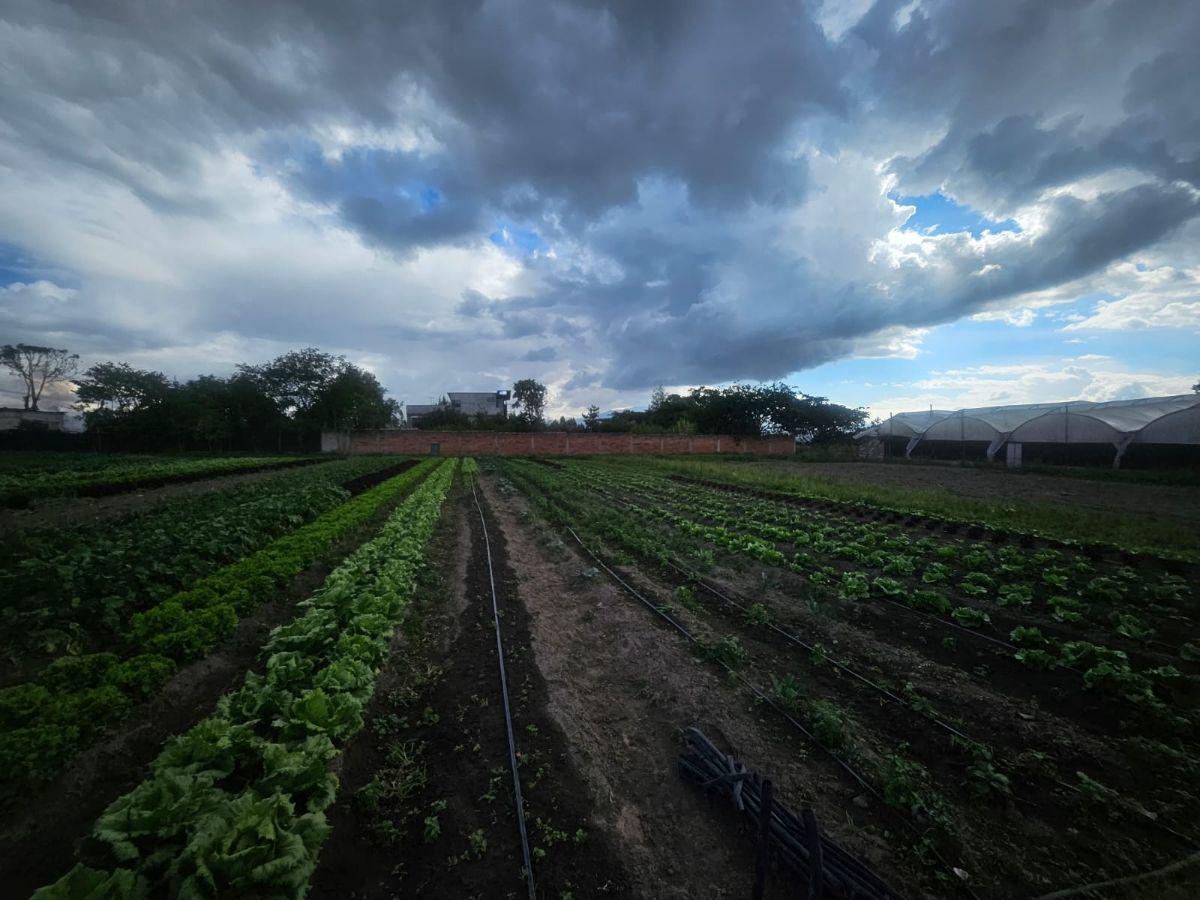 Terreno en Venta Yaruqui — imagen 7