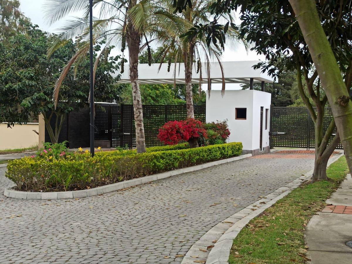 Terreno en Puembo en Urbanización Exclusiva — imagen 8