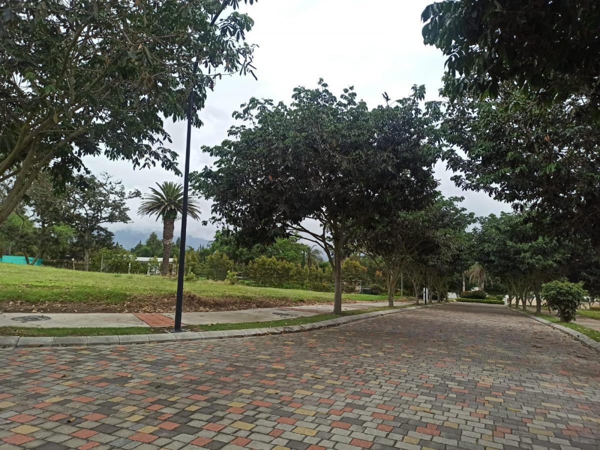 Terreno en Puembo en Urbanización Exclusiva — imagen 4