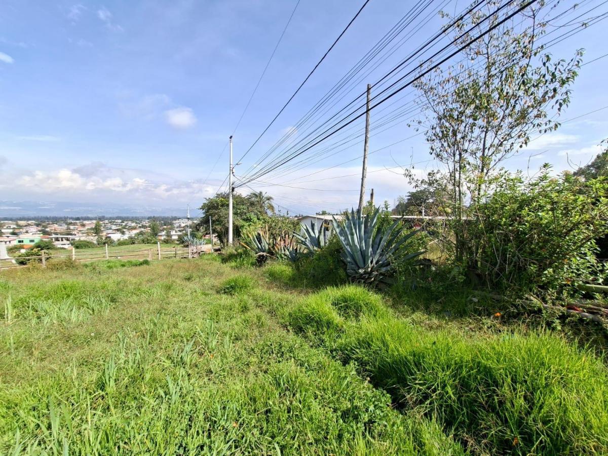 Terreno en Yaruqui — imagen 6