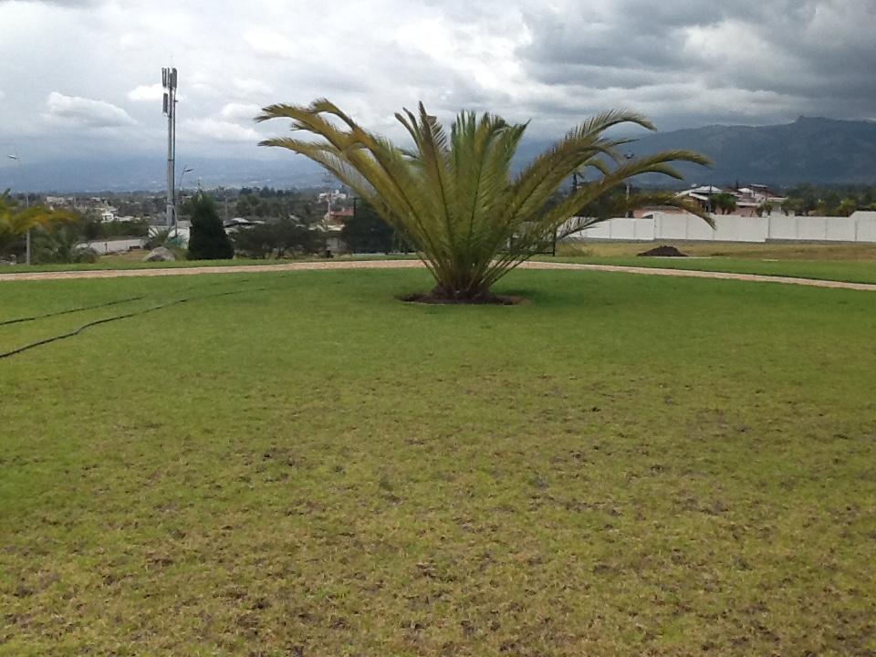 Urbanización Privada Sector La Cerámica — imagen 10