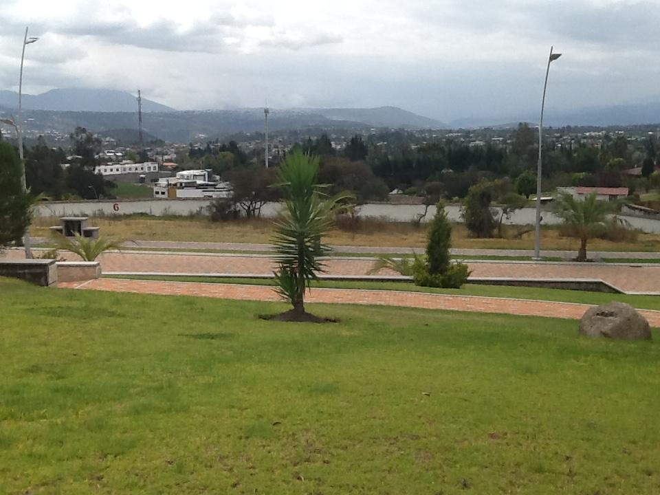 Urbanización Privada Sector La Cerámica — imagen 8