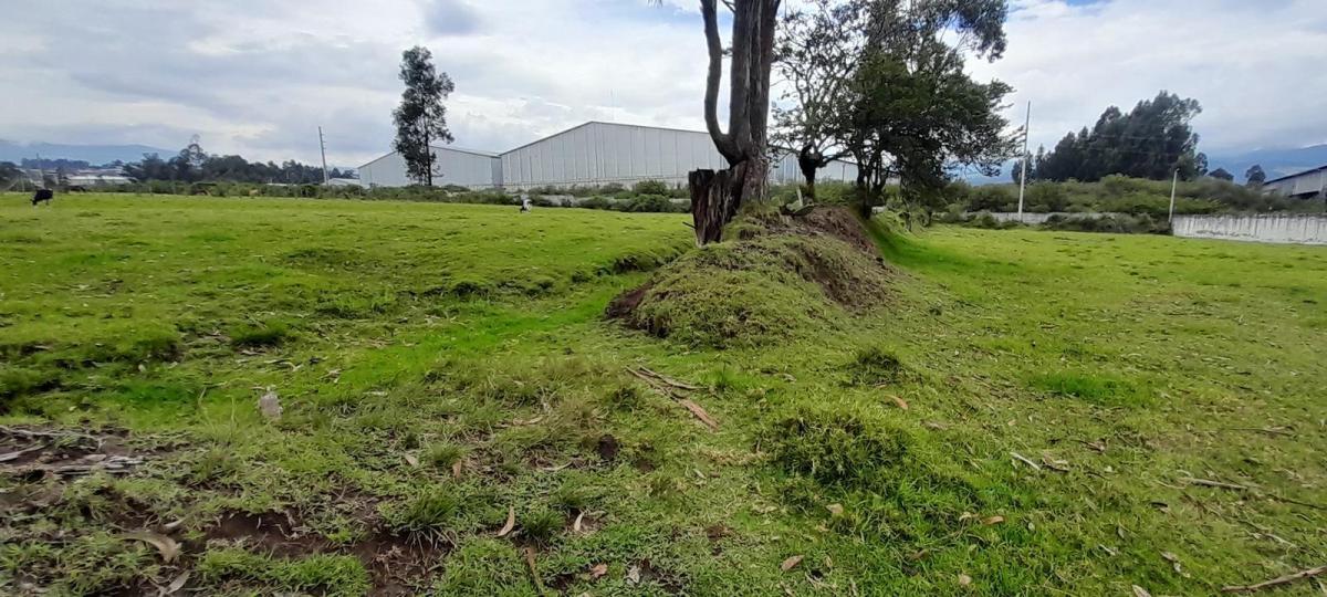 Terreno de Venta en El Valle de Los Chillos, Sector Inchalillo. 8973 m. Provincia de Pichincha — imagen 7