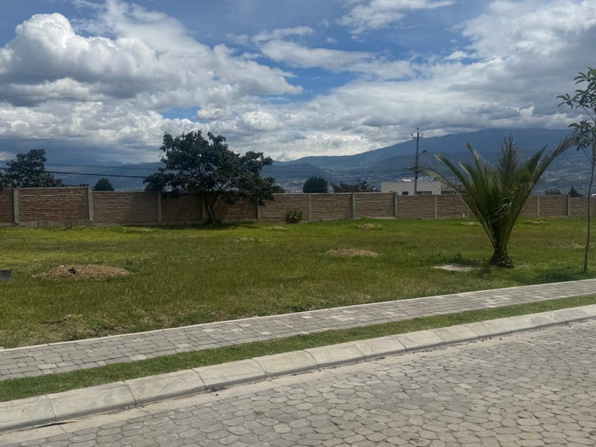 Terreno en Puembo — imagen 9
