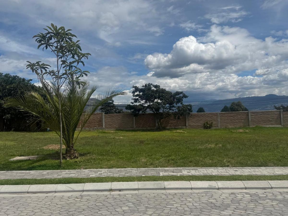 Terreno en Puembo — imagen 8