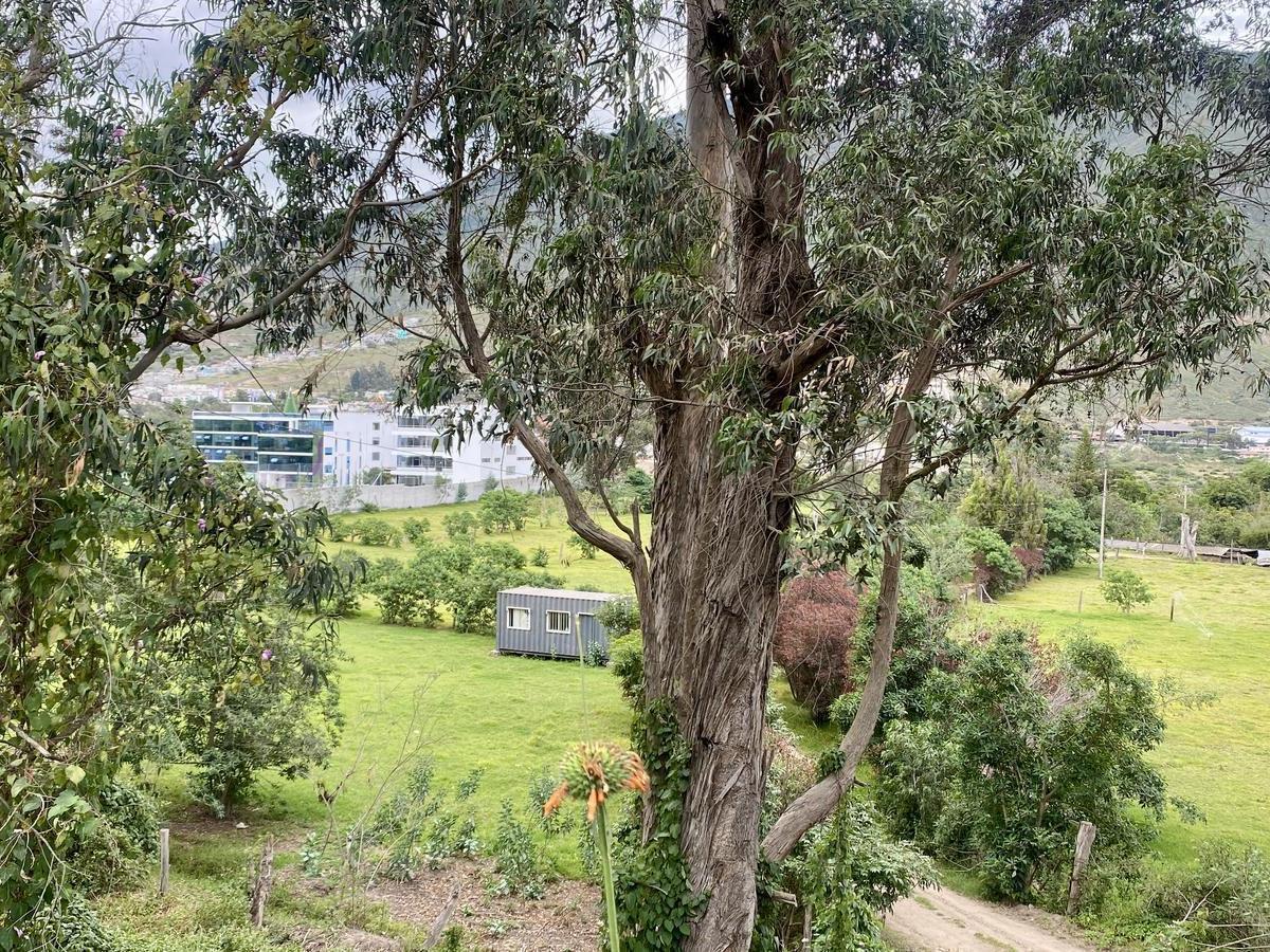 Vendo Terreno 188 m² en $52.400 (Lotización Pomasqui Dph con Planos Aprobados) — imagen 8