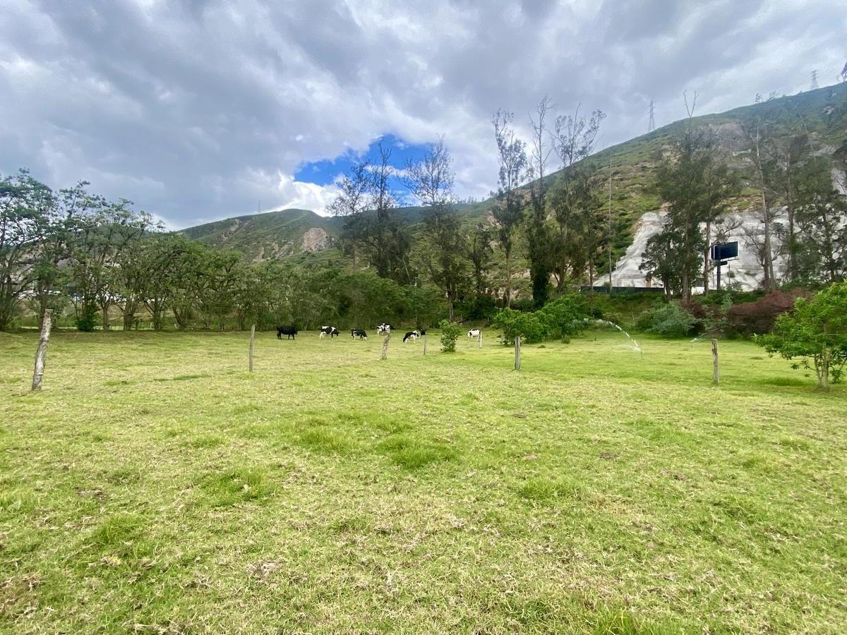 Vendo Terreno 188 m² en $52.400 (Lotización Pomasqui Dph con Planos Aprobados) — imagen 7