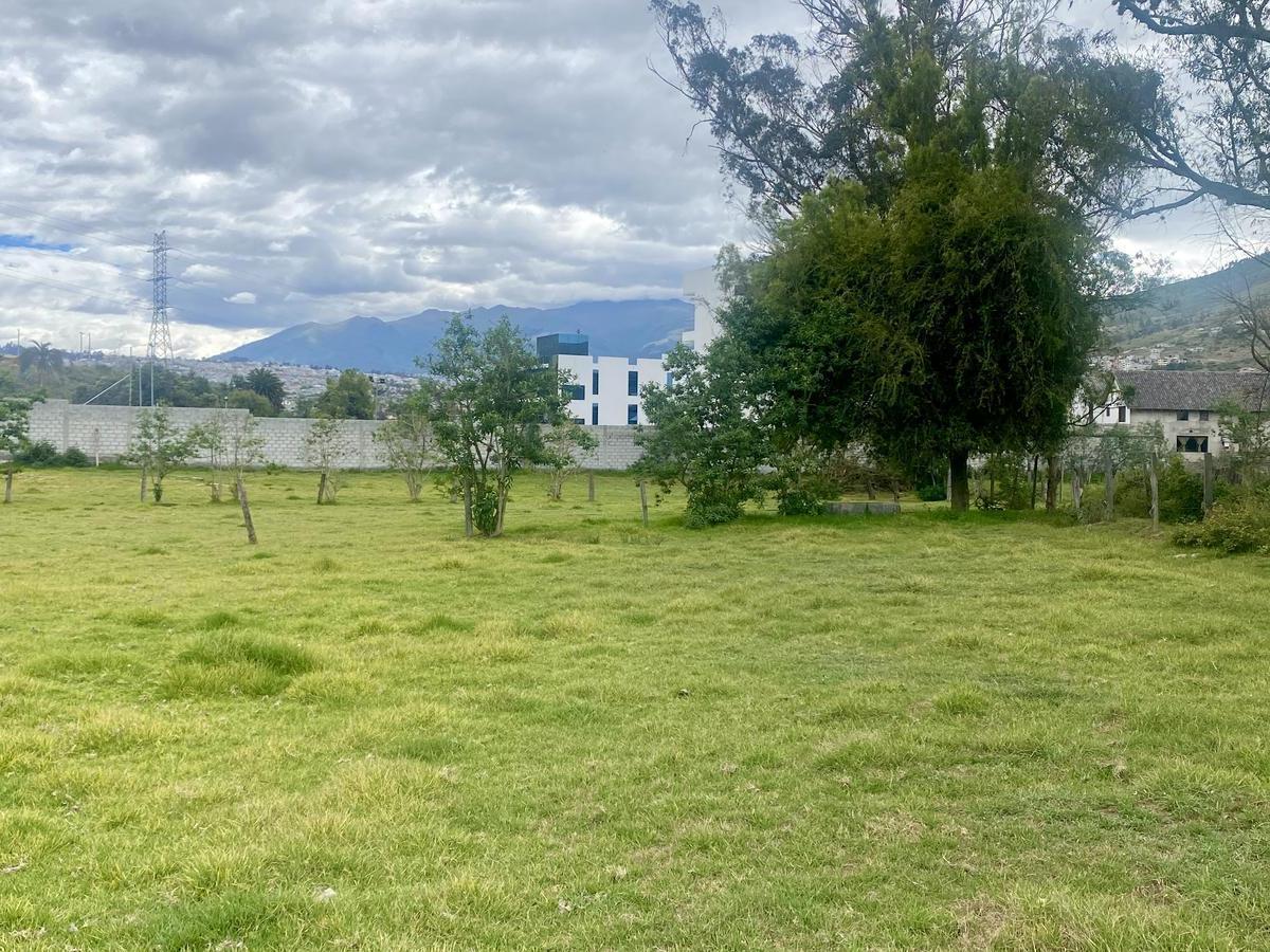 Vendo Terreno 188 m² en $52.400 (Lotización Pomasqui Dph con Planos Aprobados) — imagen 2