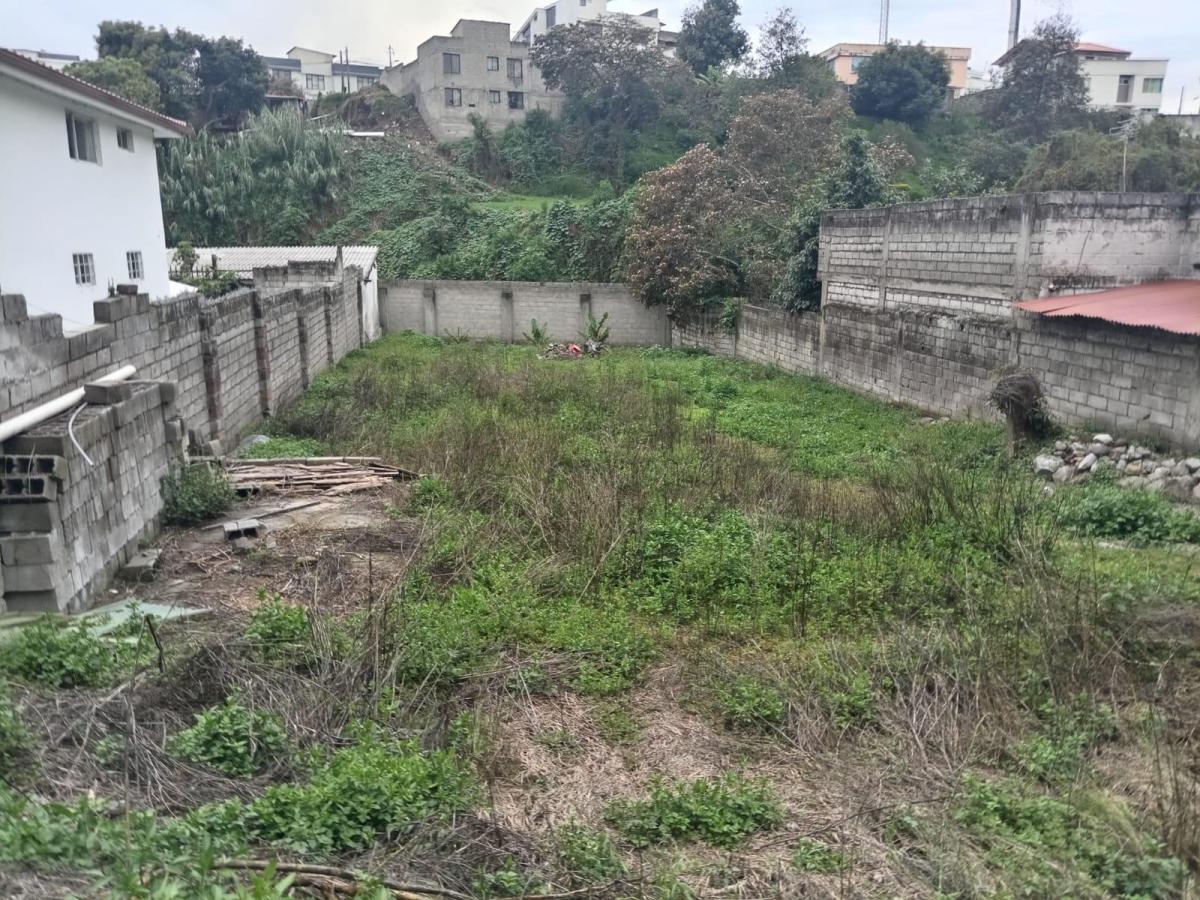 Terreno en Venta | 500 m² | Urbanización Aurelio Naranjo | Sangolquí, Valle de Los Chillos — imagen 4