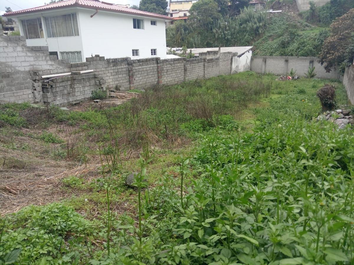 Terreno en Venta | 500 m² | Urbanización Aurelio Naranjo | Sangolquí, Valle de Los Chillos — imagen 3