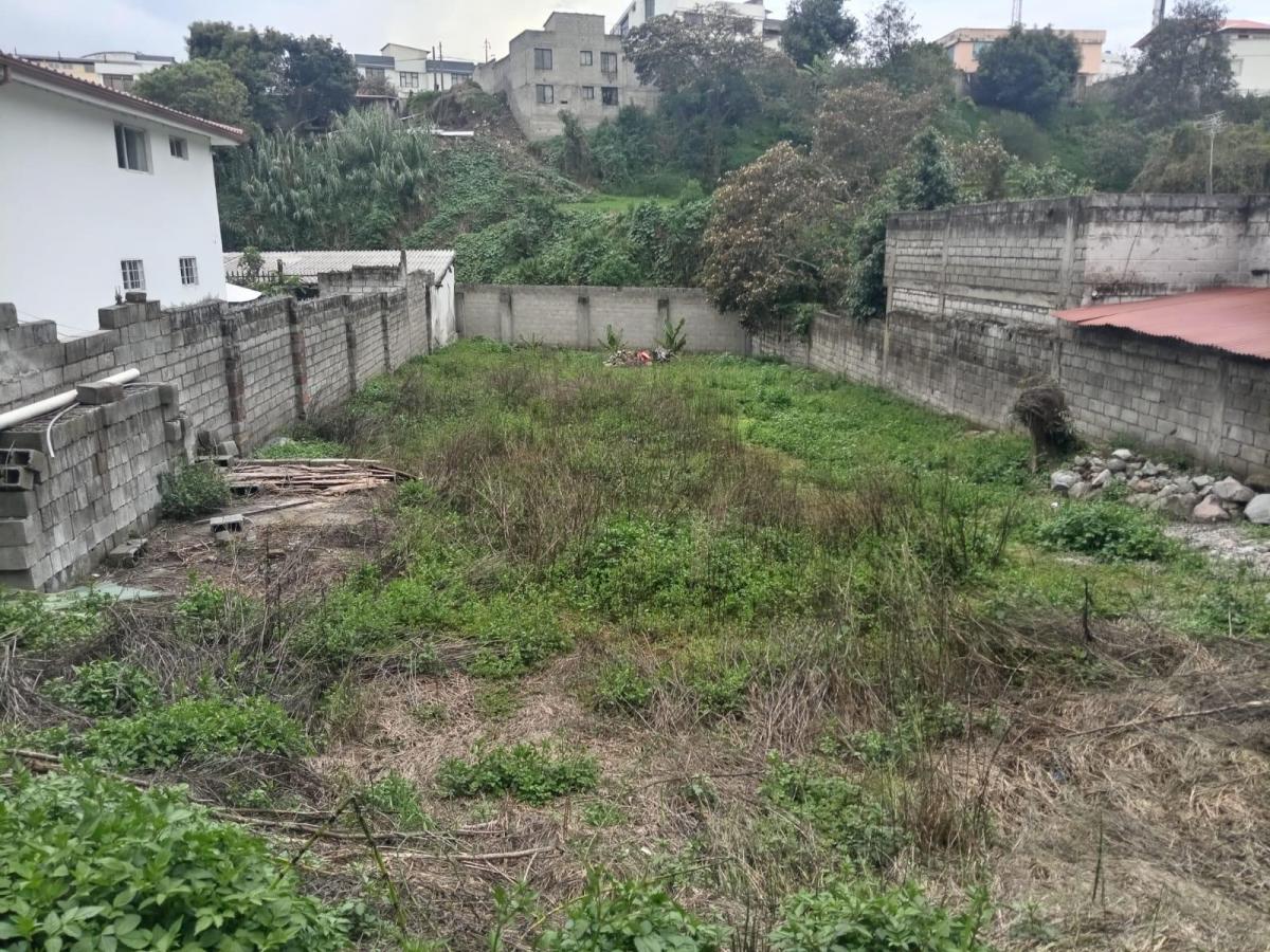 Terreno en Venta | 500 m² | Urbanización Aurelio Naranjo | Sangolquí, Valle de Los Chillos — imagen 2