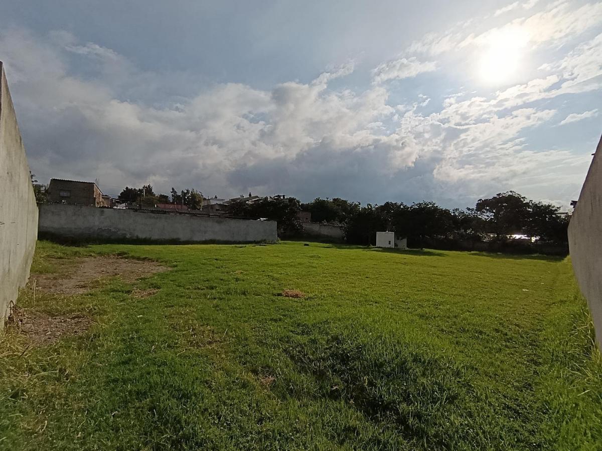 Terreno en Sur de Ibarra, Imbabura — imagen 8