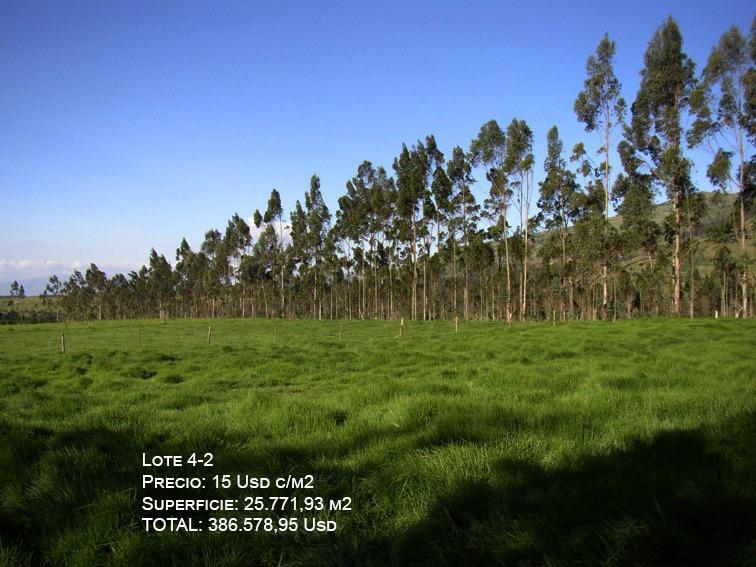 Lote de Venta en Pintag – Barrio San Agustín — imagen 5