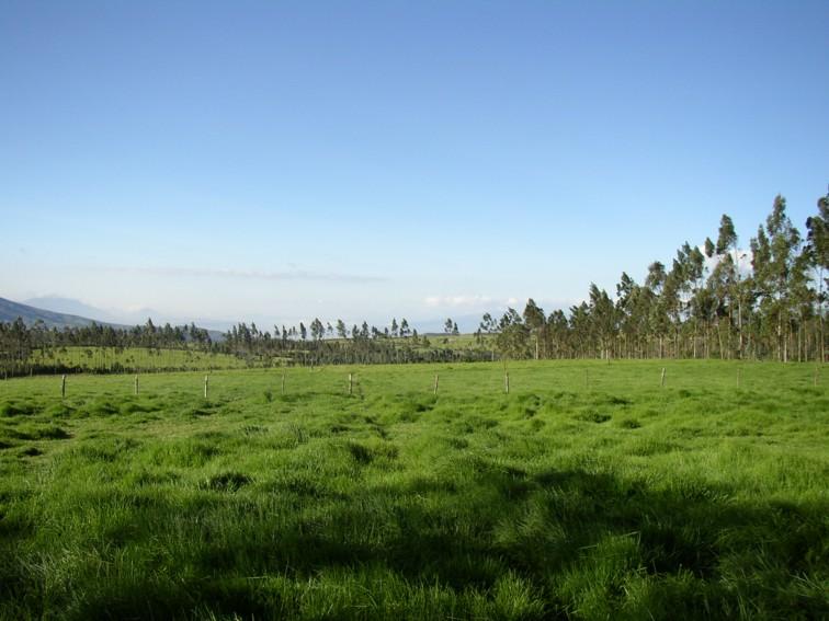 Lote de Venta en Pintag – Barrio San Agustín — imagen 3