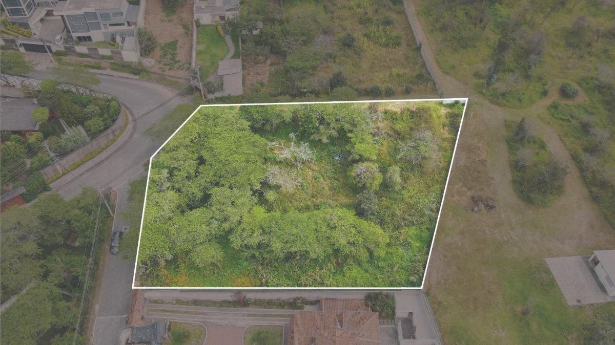 Nayón - Hermoso Terreno Esquinero de 2.533.91 m² — imagen 7