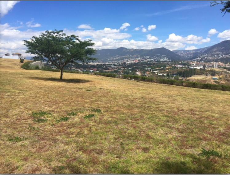 Cumbaya Terreno de Venta en Urb. Privada Linda Vista Sector Colegio Menor — imagen 7