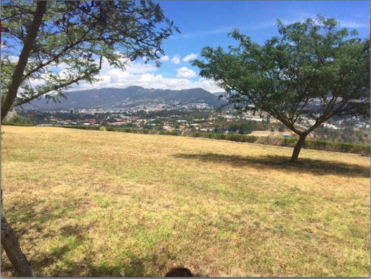 Cumbaya Terreno de Venta en Urb. Privada Linda Vista Sector Colegio Menor — imagen 6