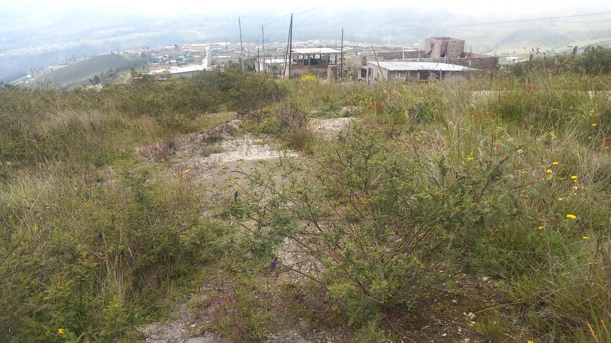 Venta Terreno de 1000 m² en Catzuqui de Velazco — imagen 7
