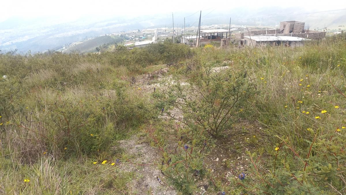 Venta Terreno de 1000 m² en Catzuqui de Velazco — imagen 6