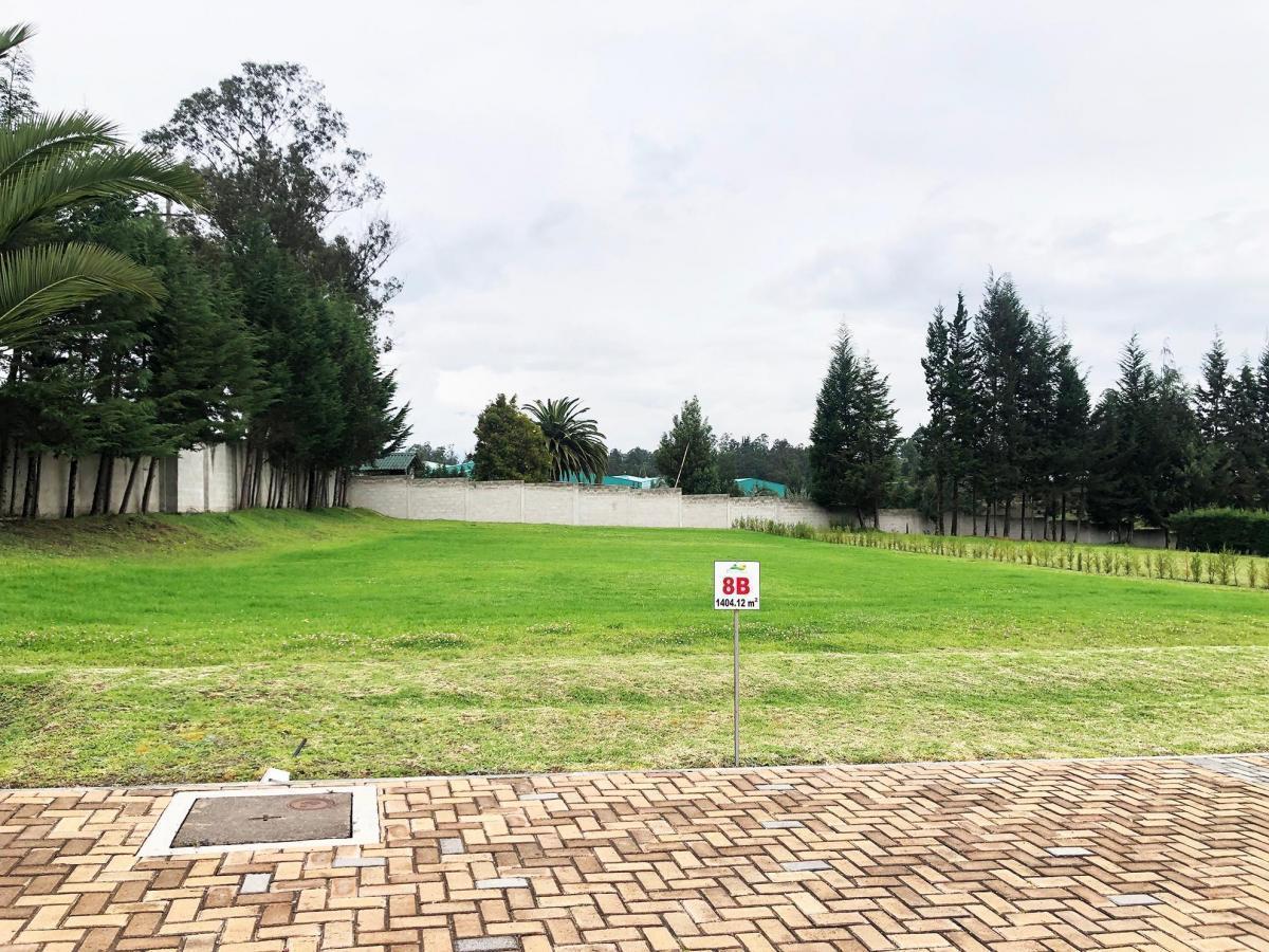 Vendo Terreno / Unifamiliar / Puembo / Pifo / Chaupimolino — imagen 7