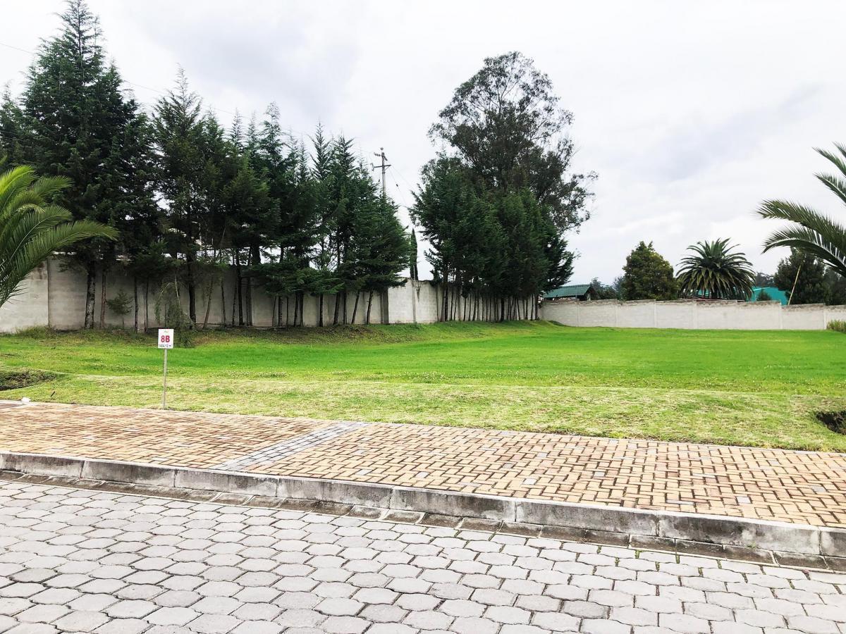 Vendo Terreno / Unifamiliar / Puembo / Pifo / Chaupimolino — imagen 6