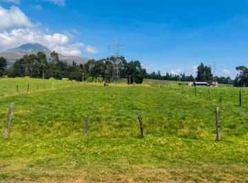 Terreno 2.000 m² en Aloasí con Servicios Básicos y Opción Para Construir 2 Pisos — imagen 3