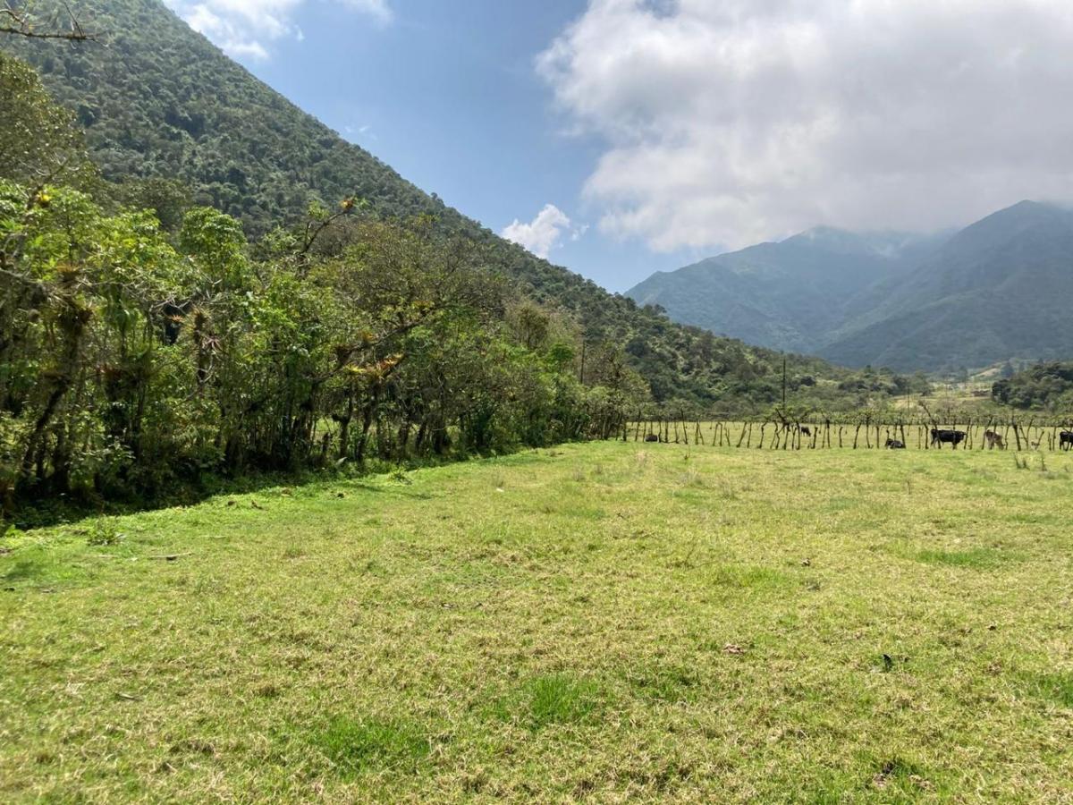 Cráter Pululahua - Terreno en Venta — imagen 9
